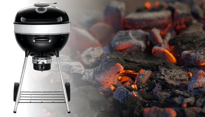 Napoleon Holzkohlegrill