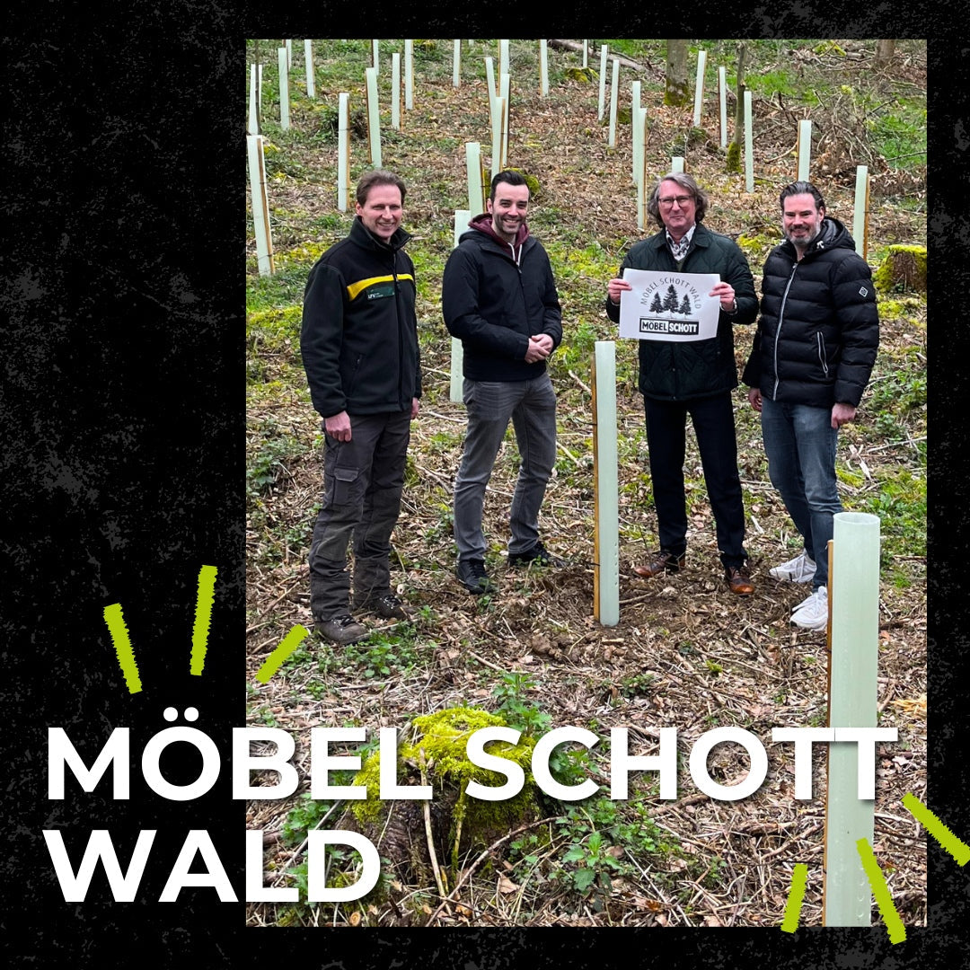 Der MÖBEL SCHOTT Wald