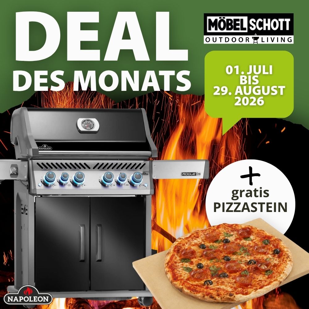 Gratis Pizzastein beim Napoleon Grill-Kauf