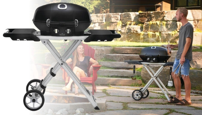 Napoleon transportable Grills