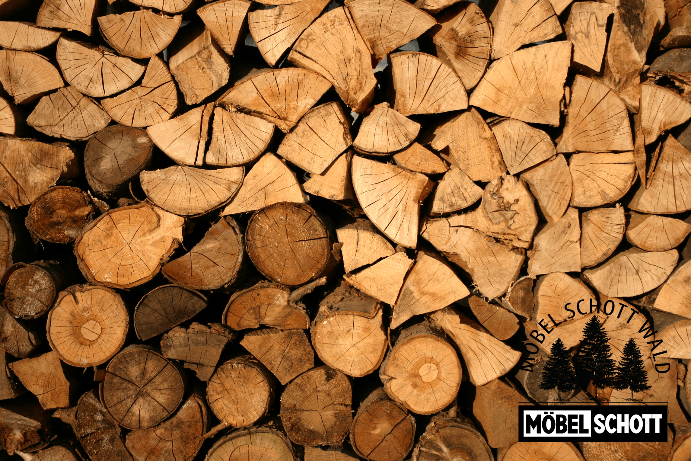 Holz ist eines der wichtigsten nachhaltigen Rohstoffe